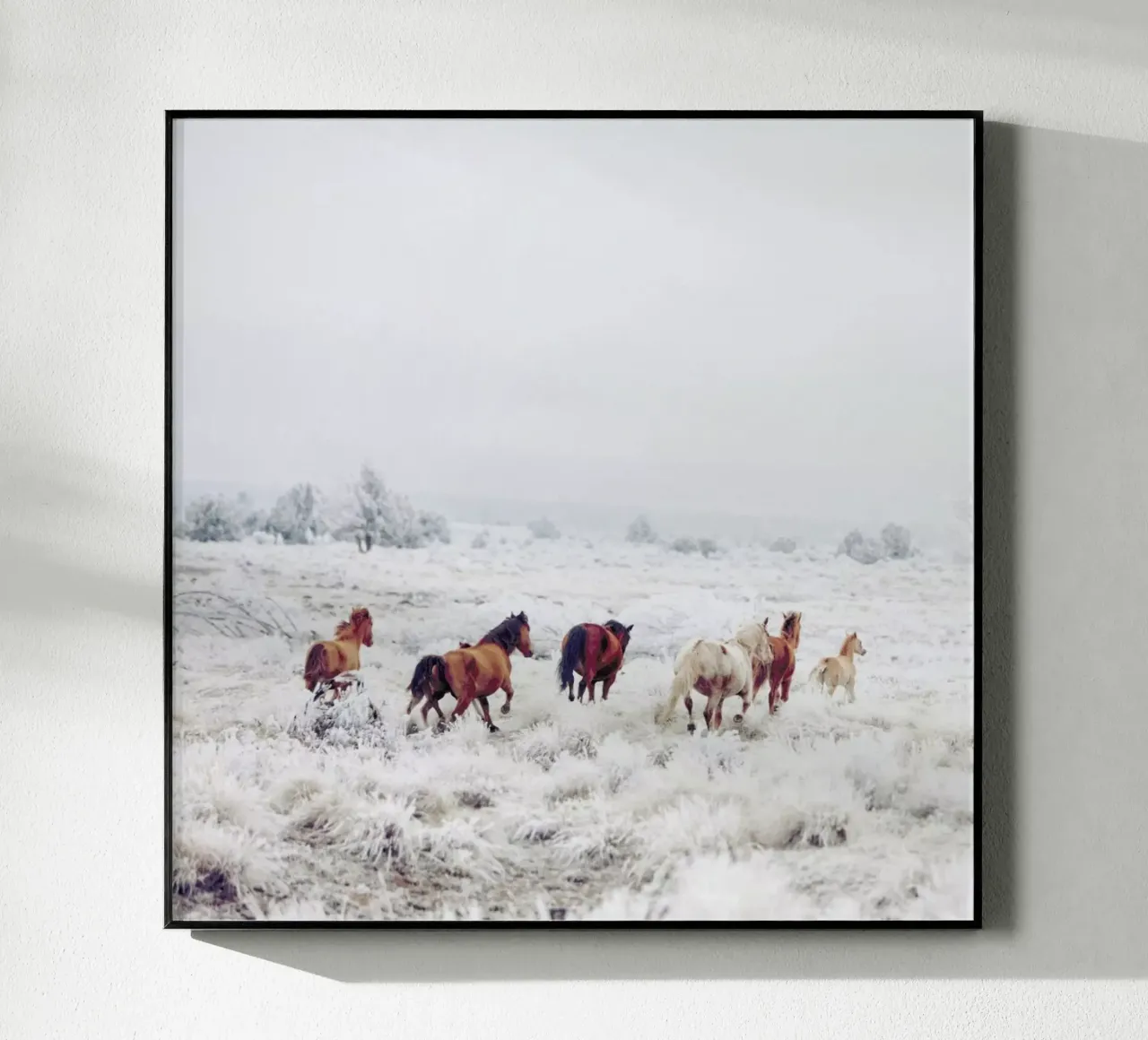 Winter Horses plexiglass da Kevin Russ
