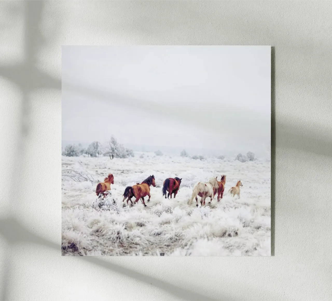 Winter Horses plexiglass da Kevin Russ