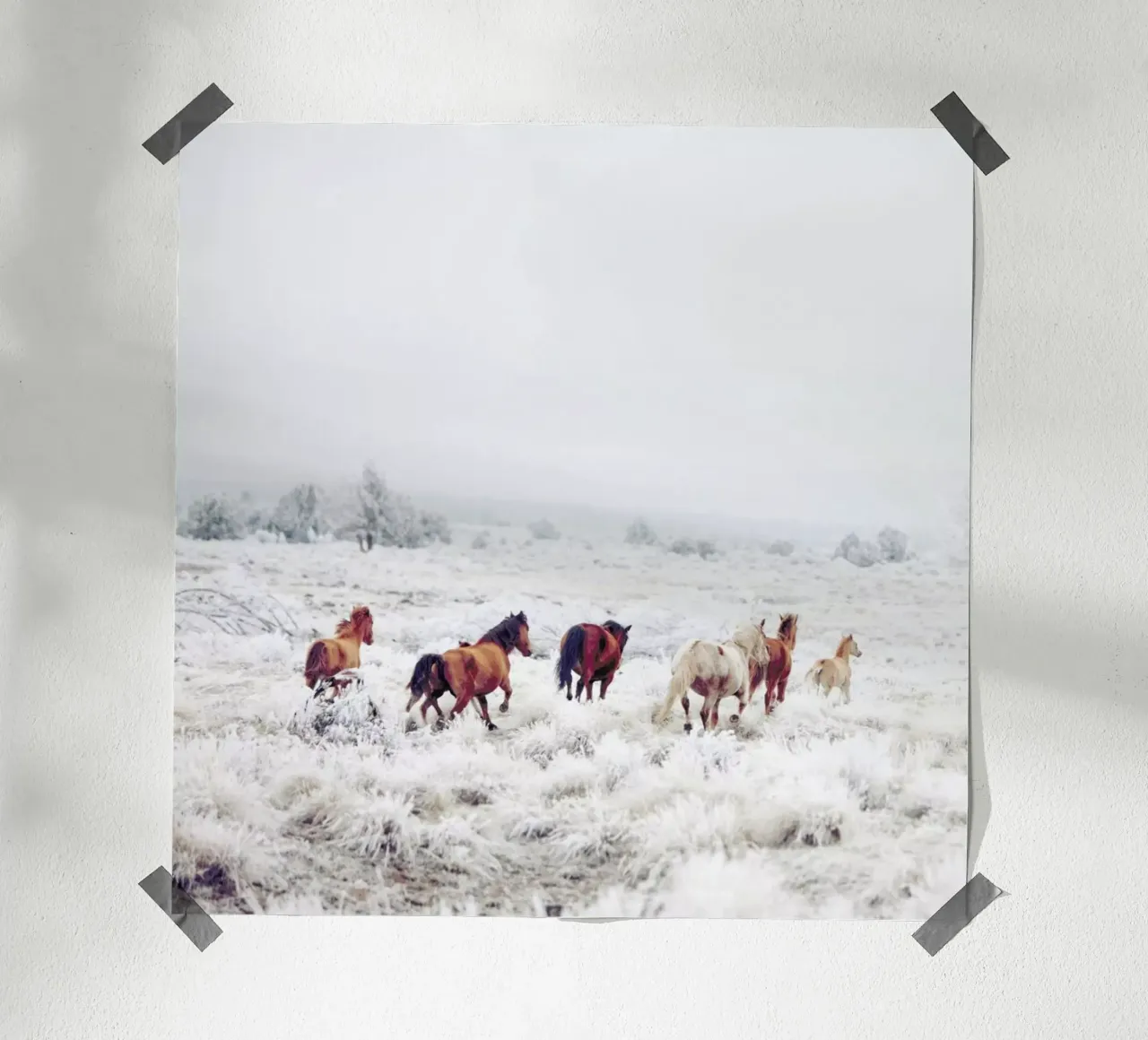 Winter Horses poster da Kevin Russ