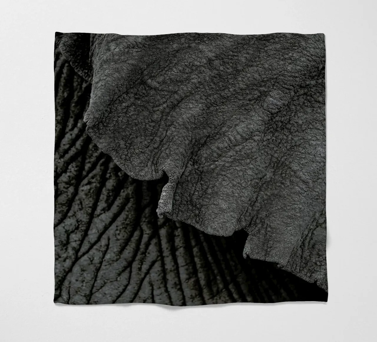 Olifant 02 coperta in pile da Shot By Clint