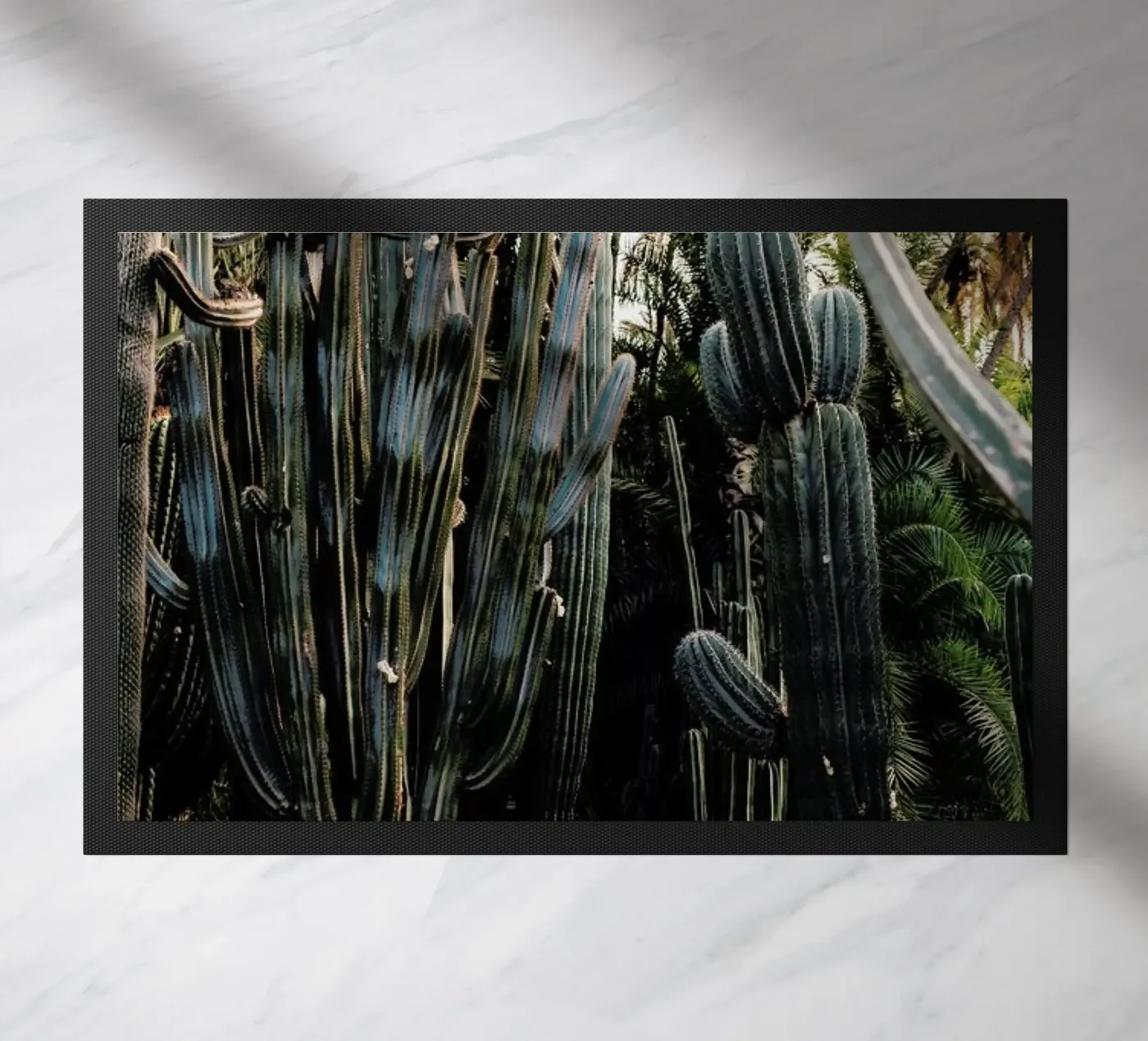 Cactus Friends zerbino da EyeEm Mobile GmbH