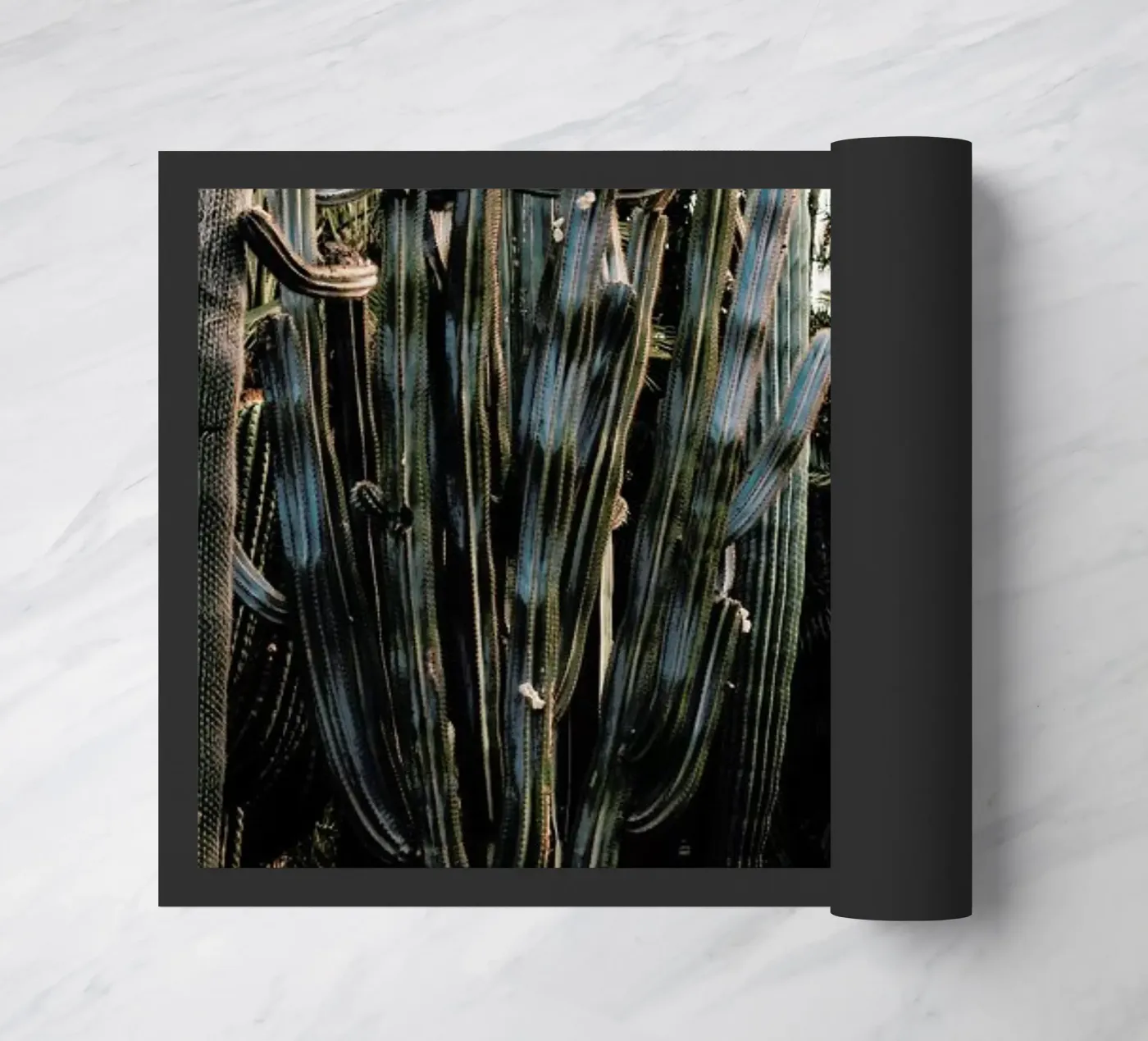 Cactus Friends zerbino da EyeEm Mobile GmbH