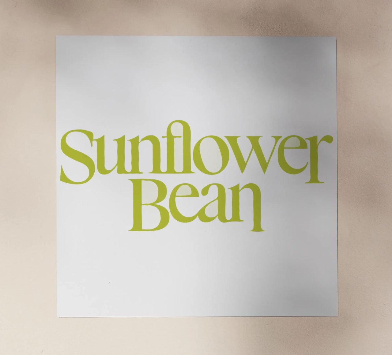 Sunflower Bean Typography pellicola backlit da MR.A