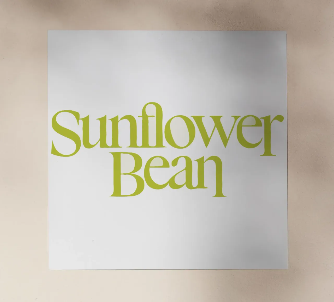 Sunflower Bean Typography pellicola backlit da MR.A