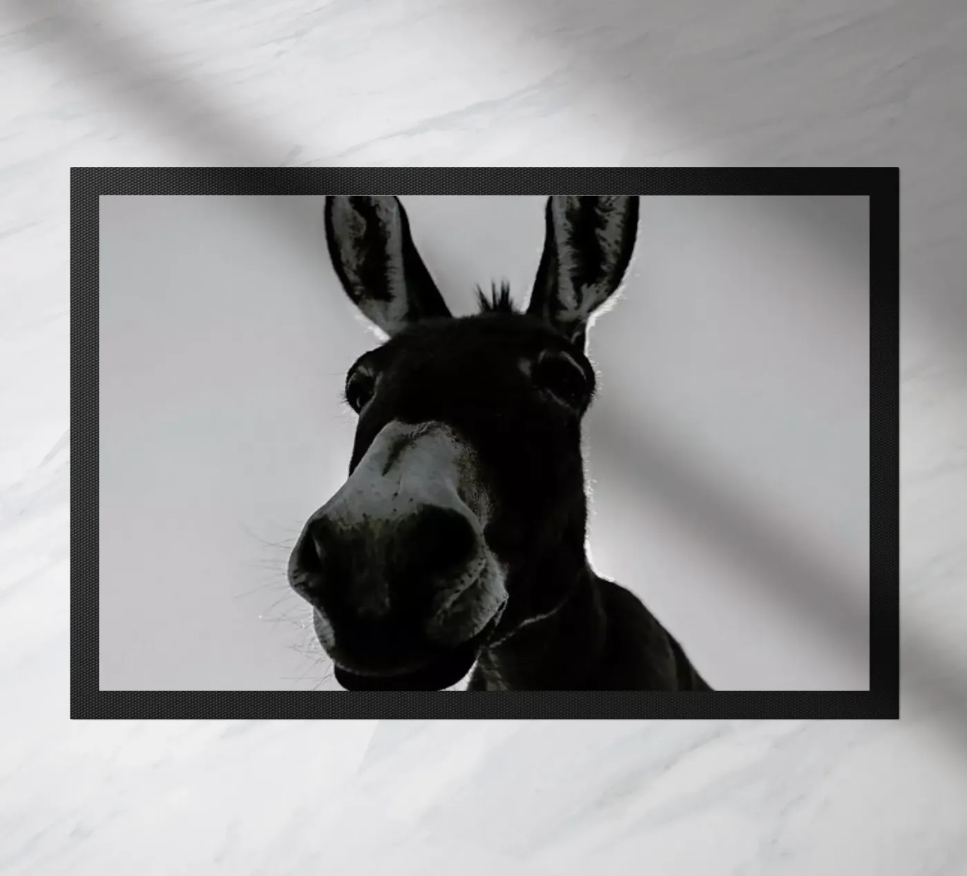 Donks zerbino da Shot By Clint