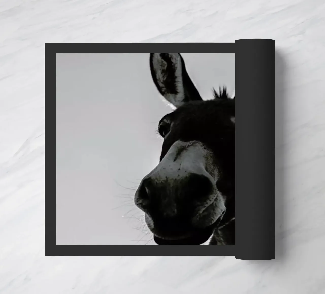 Donks zerbino da Shot By Clint