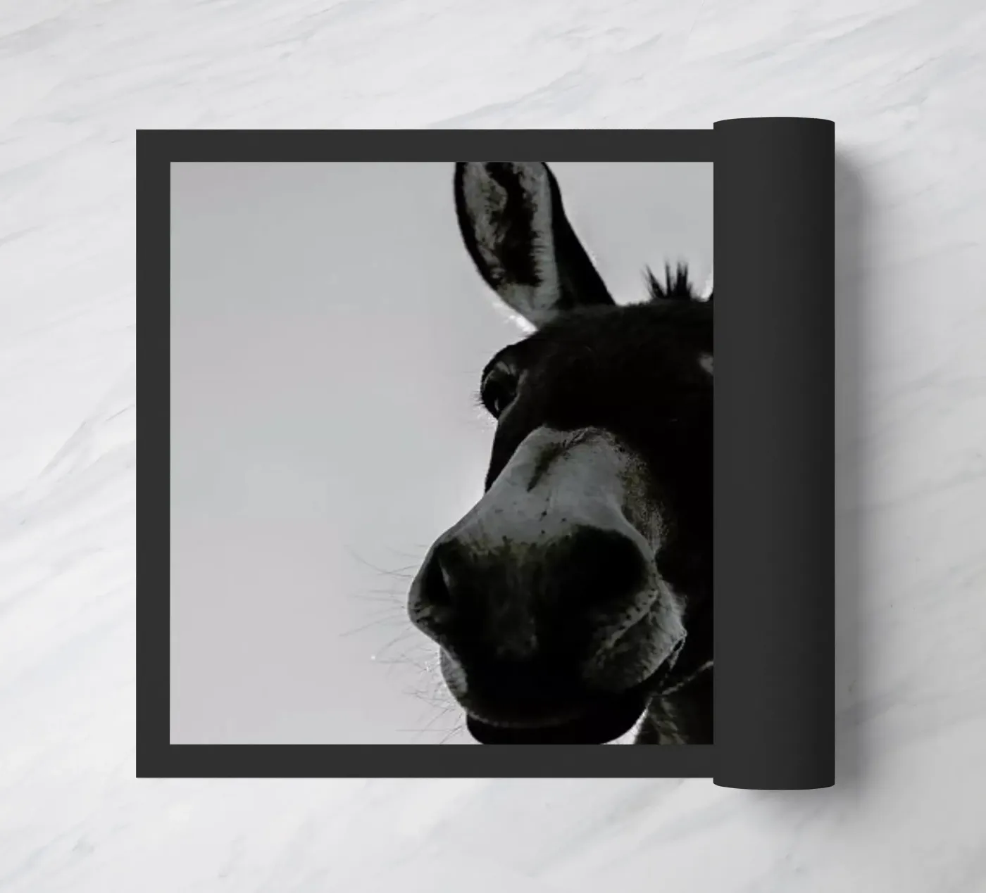 Donks zerbino da Shot By Clint