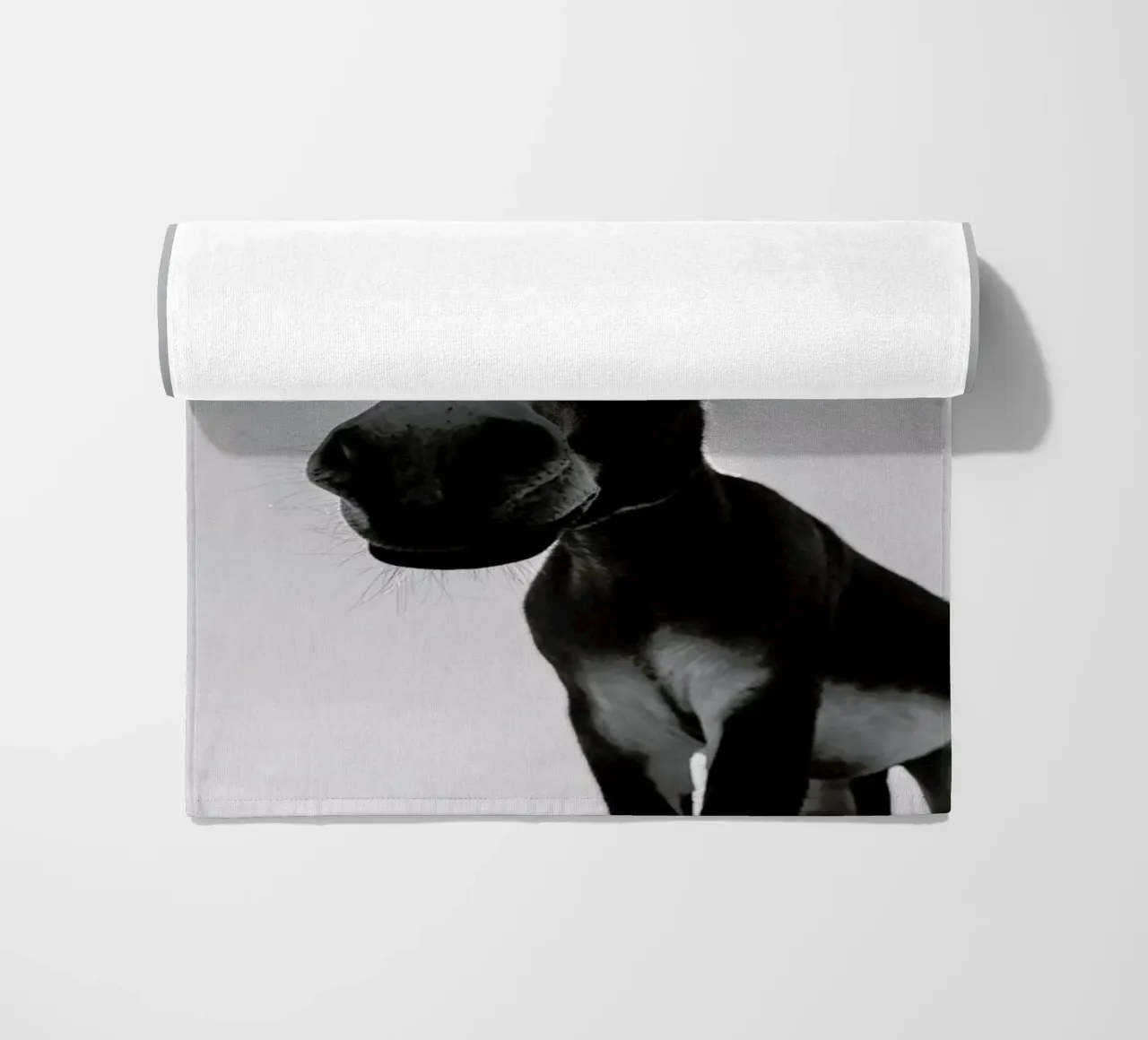 Donks telo mare da Shot By Clint