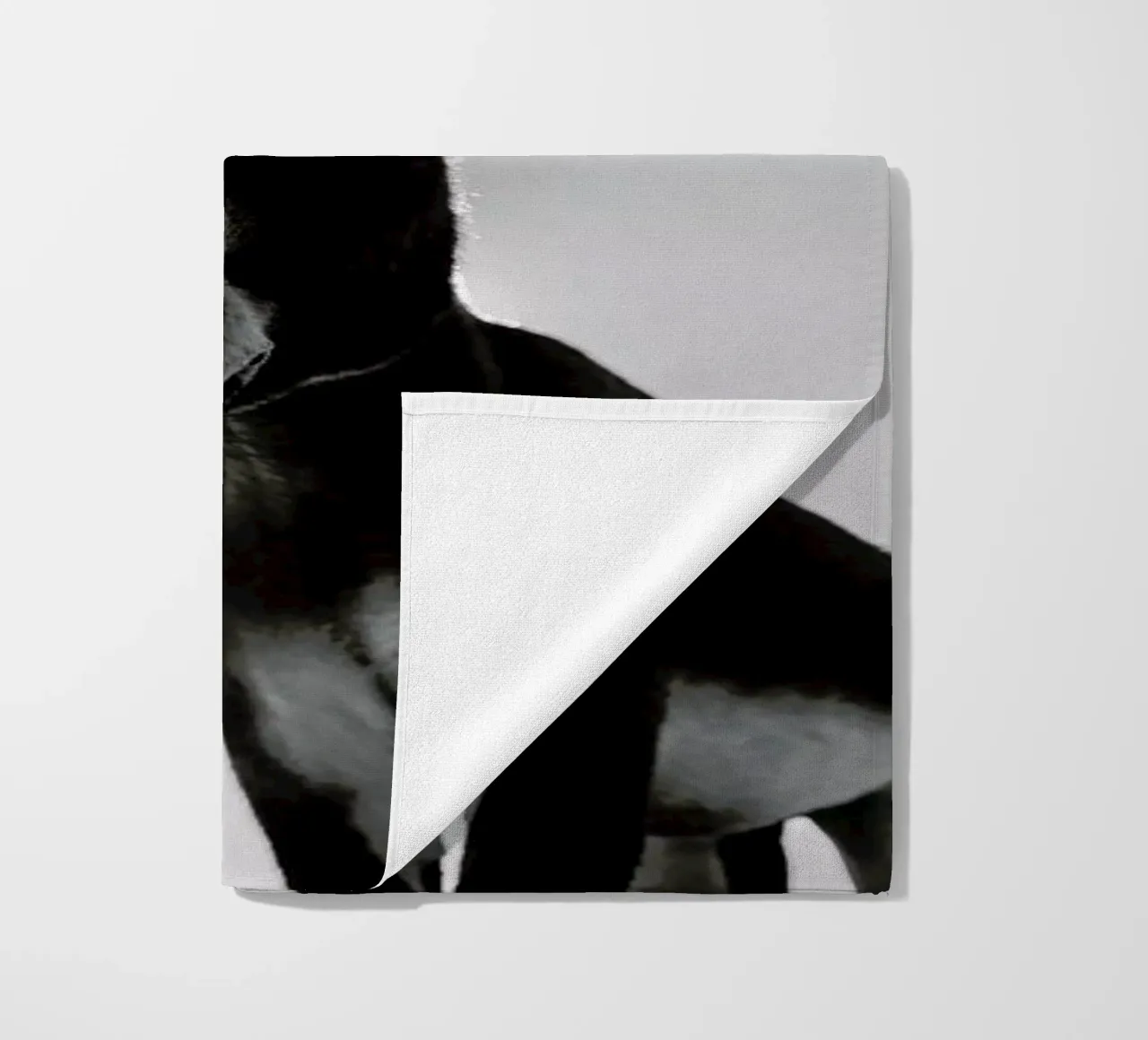 Donks telo mare da Shot By Clint