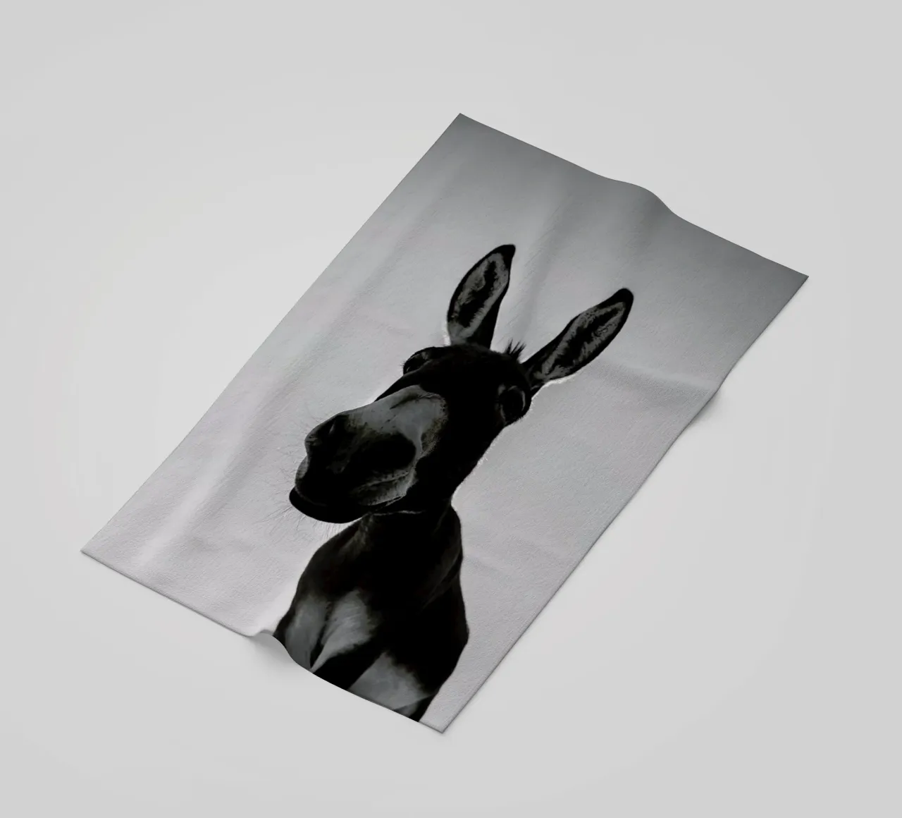 Donks telo mare da Shot By Clint