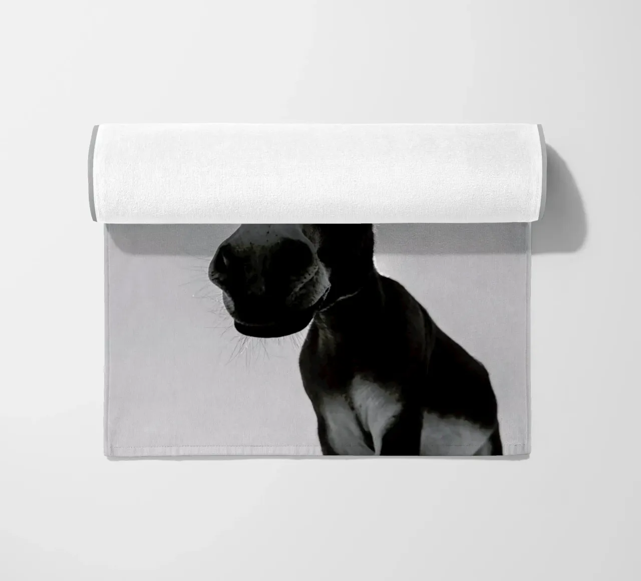 Donks telo mare da Shot By Clint