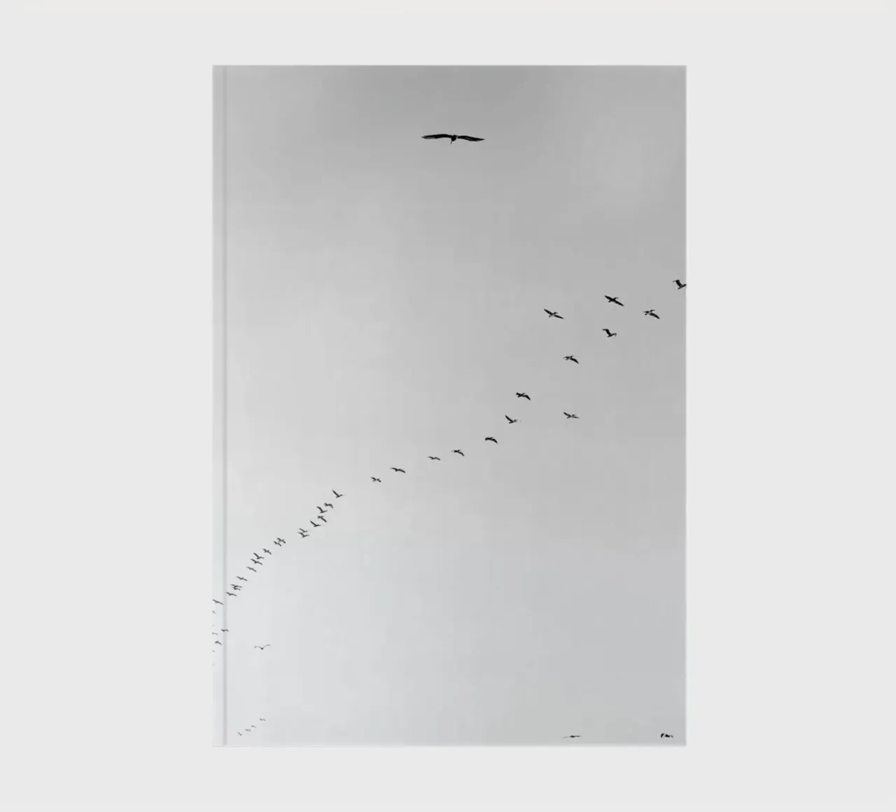 Pismo 03 notebook by Shot By Clint