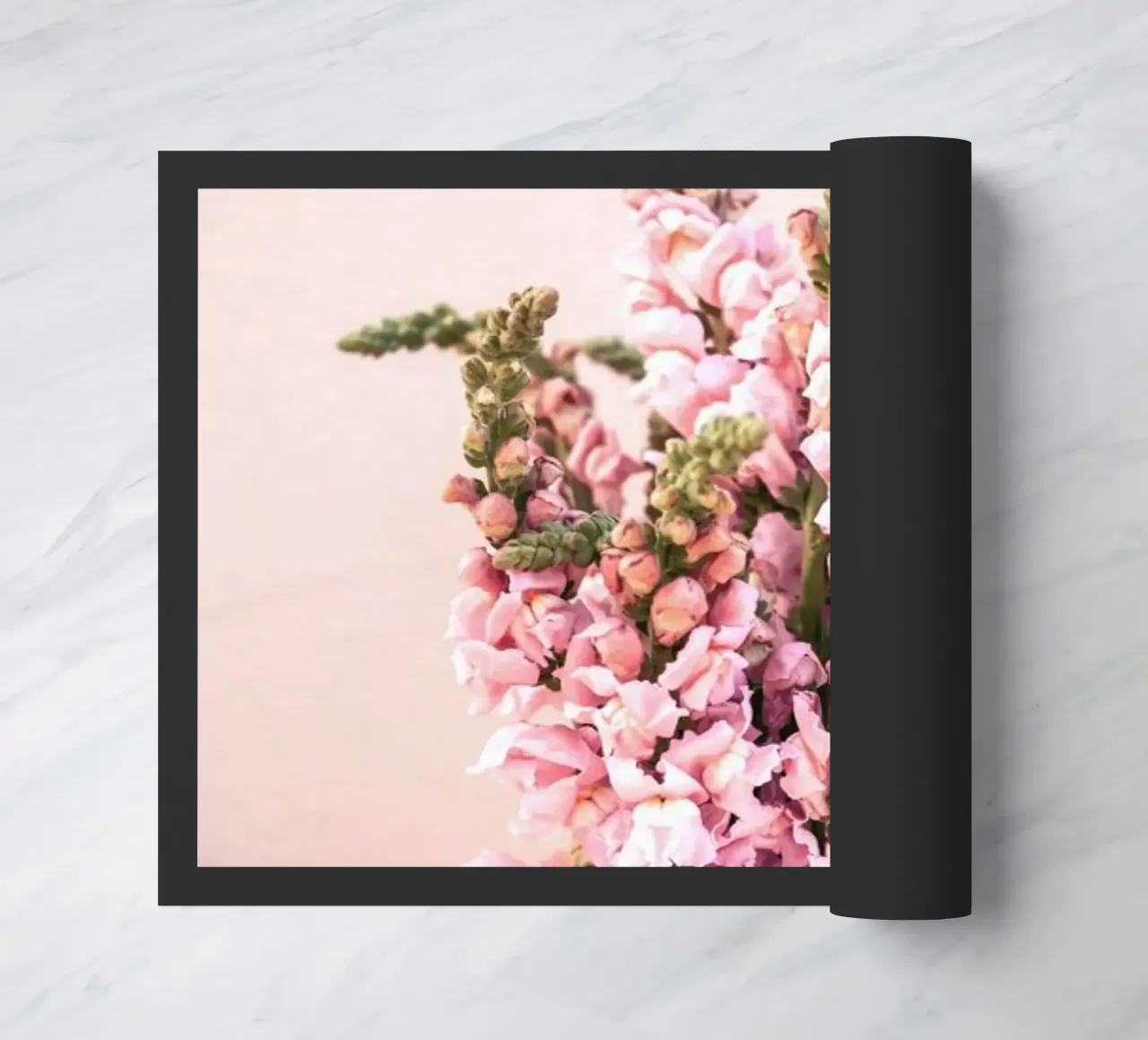 Snapdragons zerbino da EyeEm Mobile GmbH