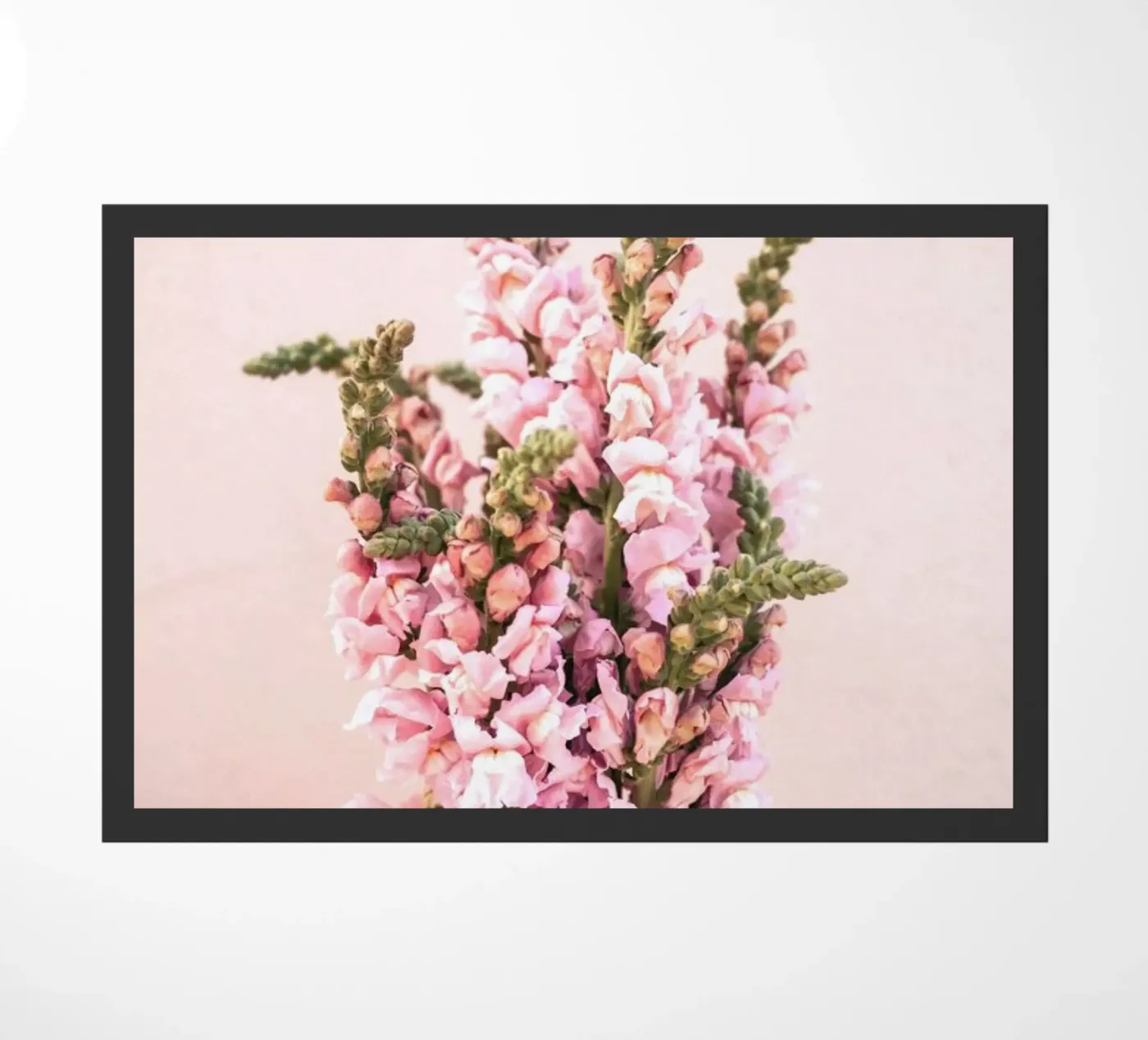 Snapdragons paillasson de EyeEm Mobile GmbH