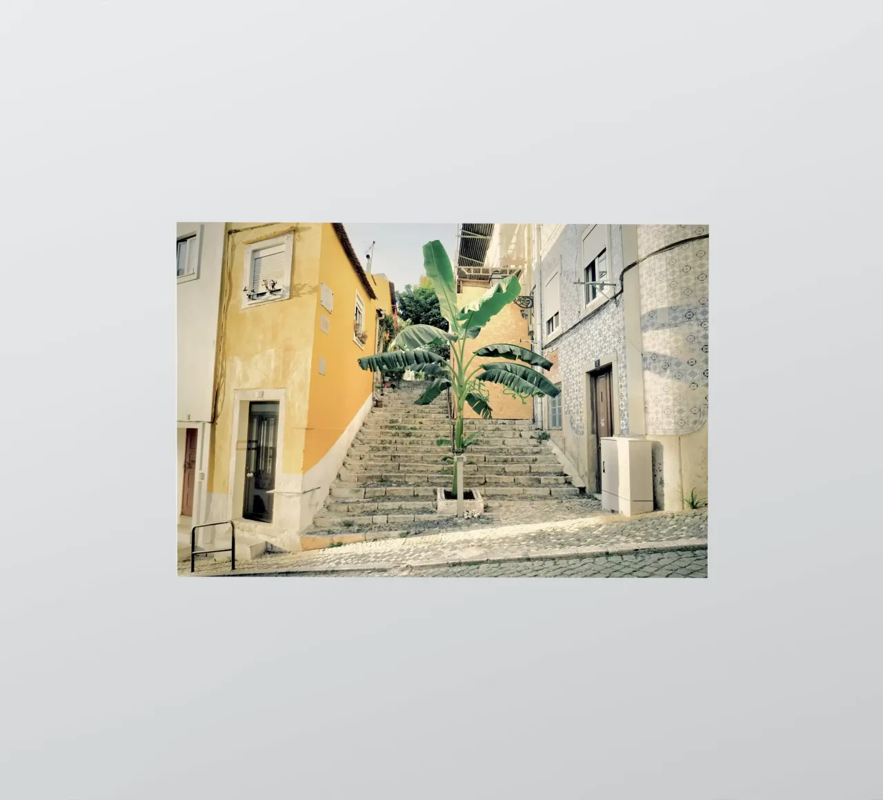 Albero delle palme - Via Lisbona adesivo da KISSA STUDIO