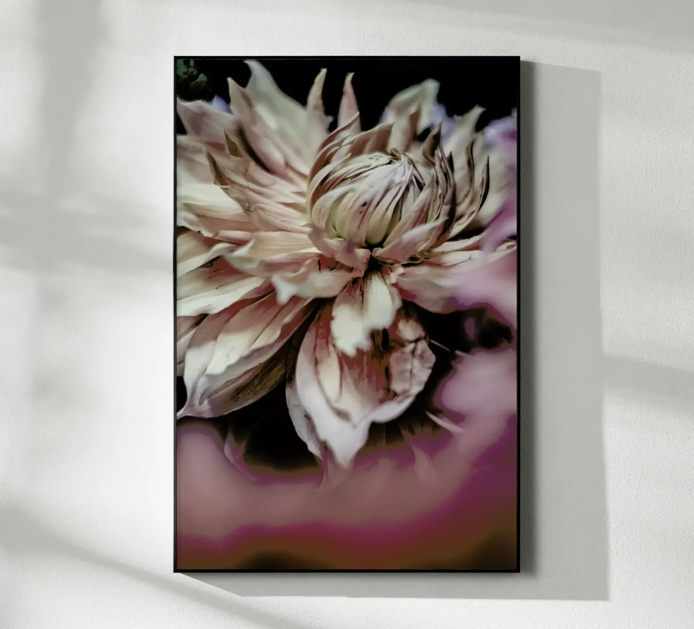 Morning Glory plexiglass da Shot By Clint