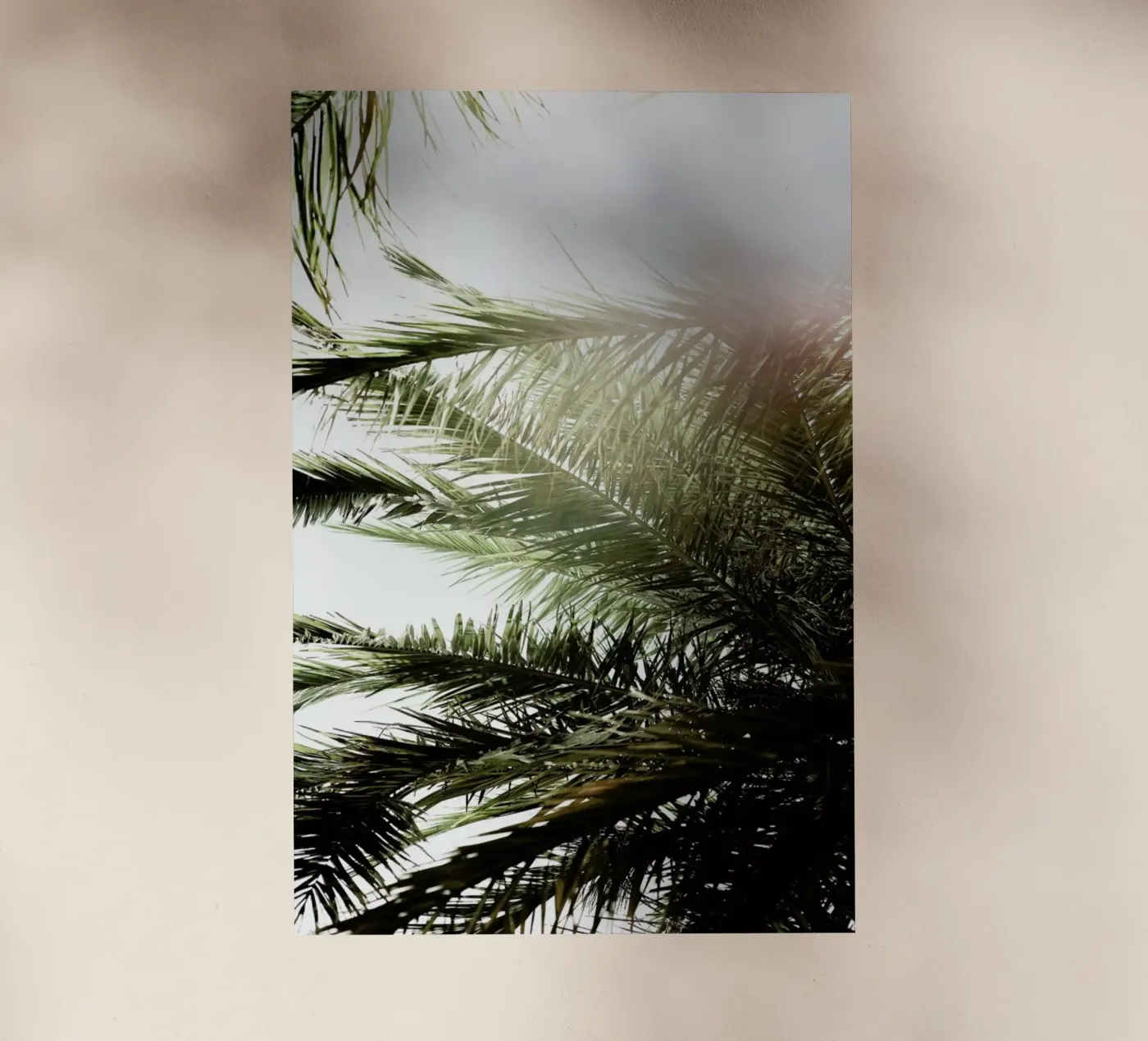 Glow pellicola backlit da Shot By Clint