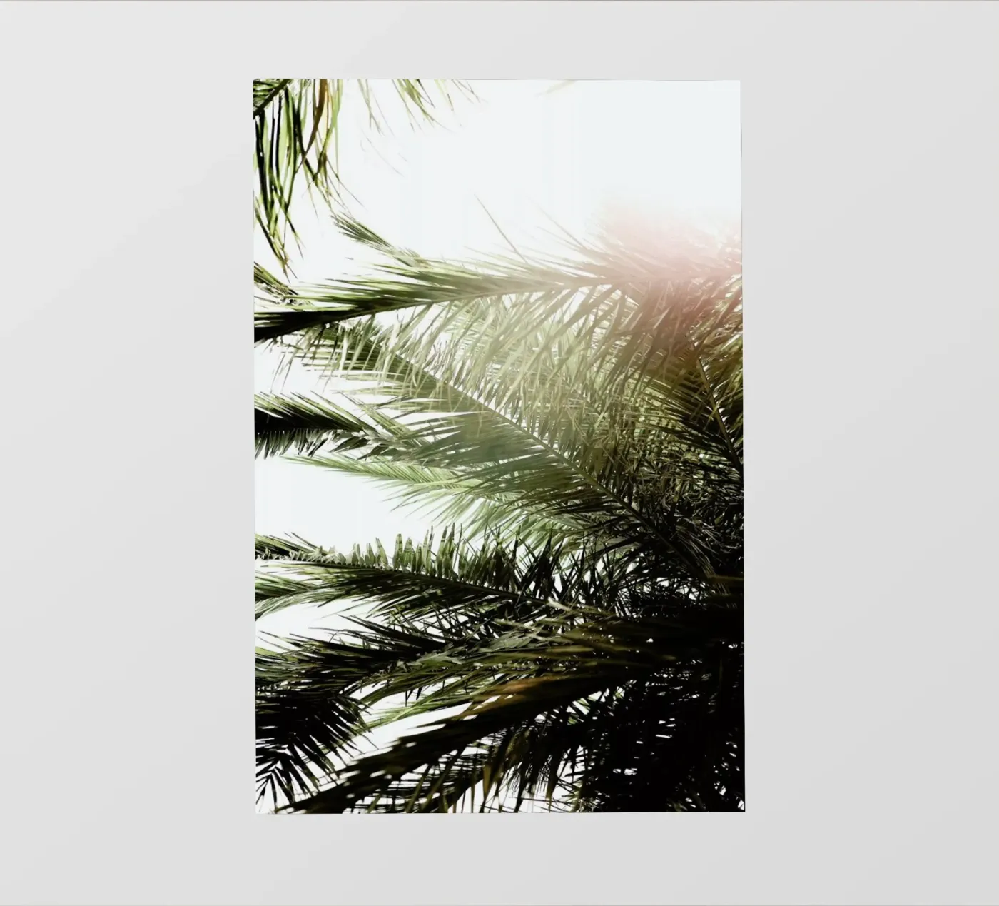 Glow pellicola backlit da Shot By Clint