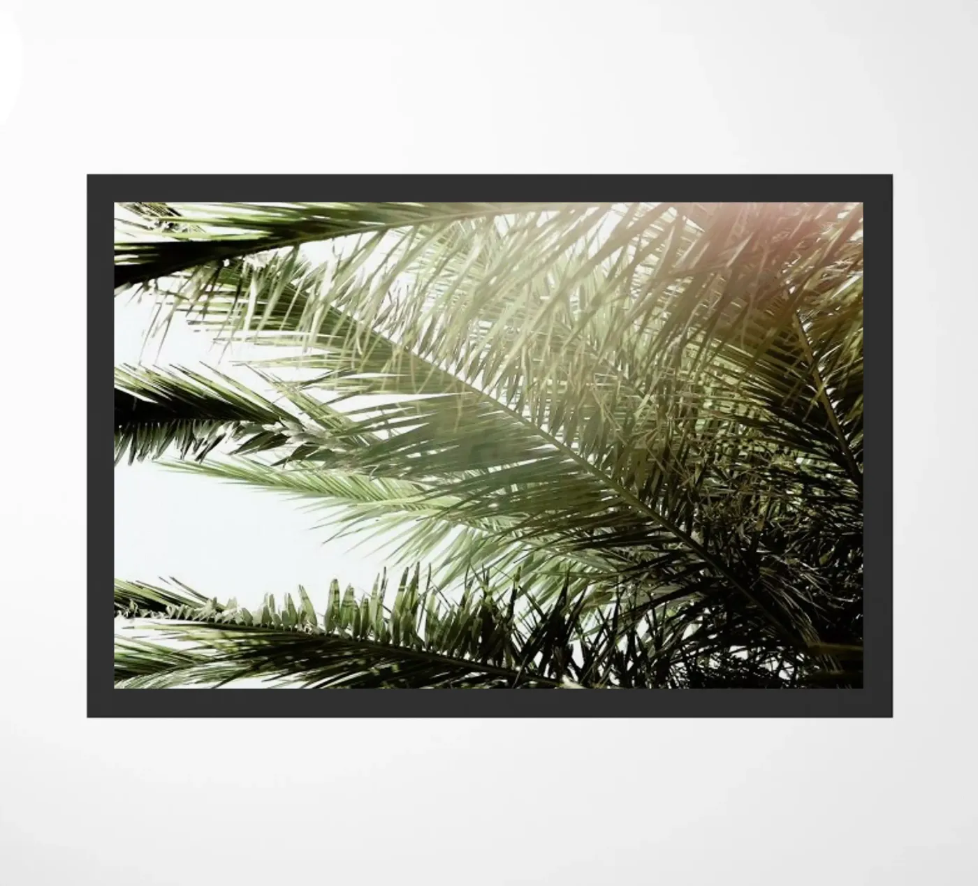 Glow zerbino da Shot By Clint