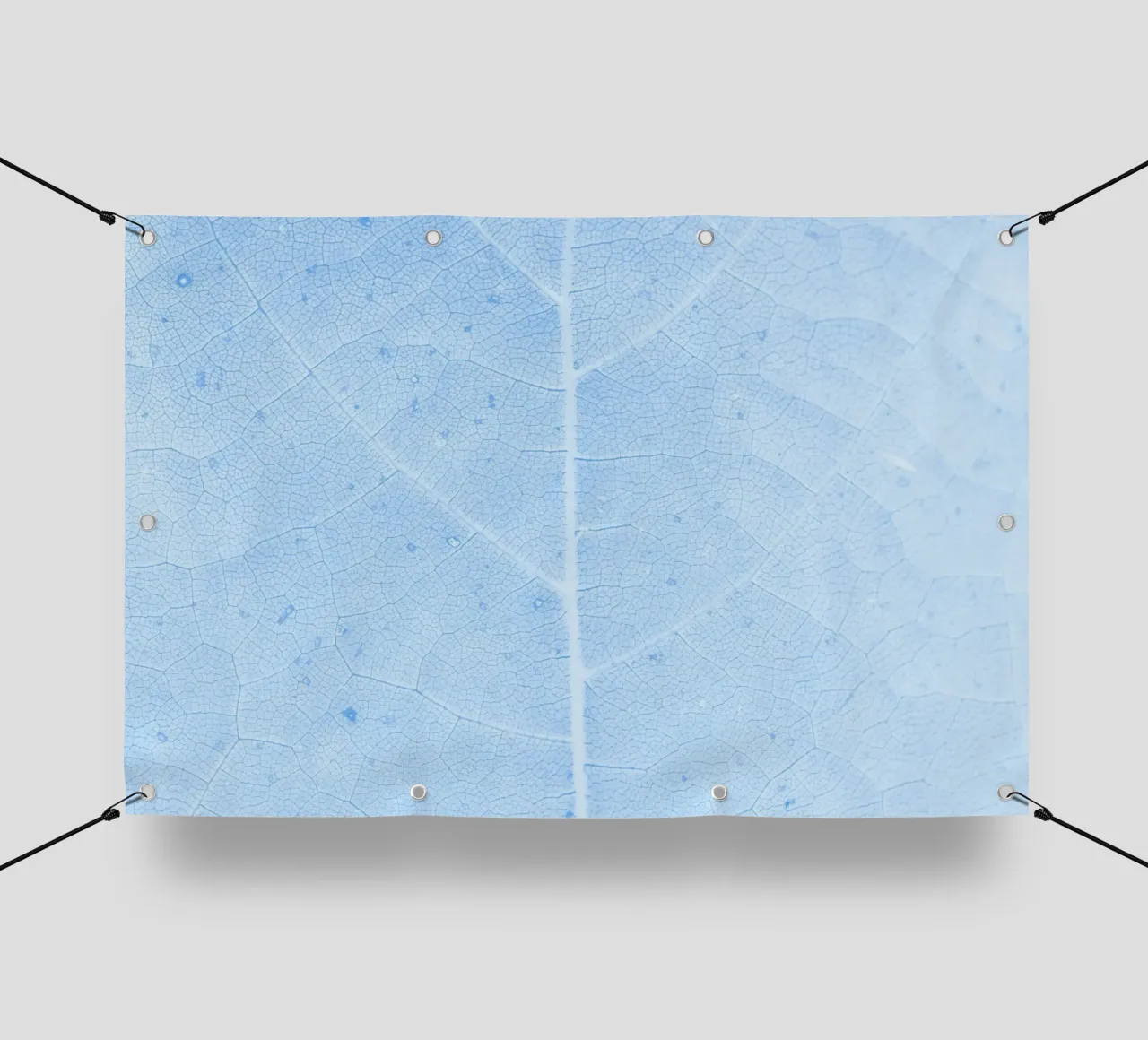 Aqua Leaf Veins Macro - Serene Nature Abstract Print PVC Plane von NorwesClub