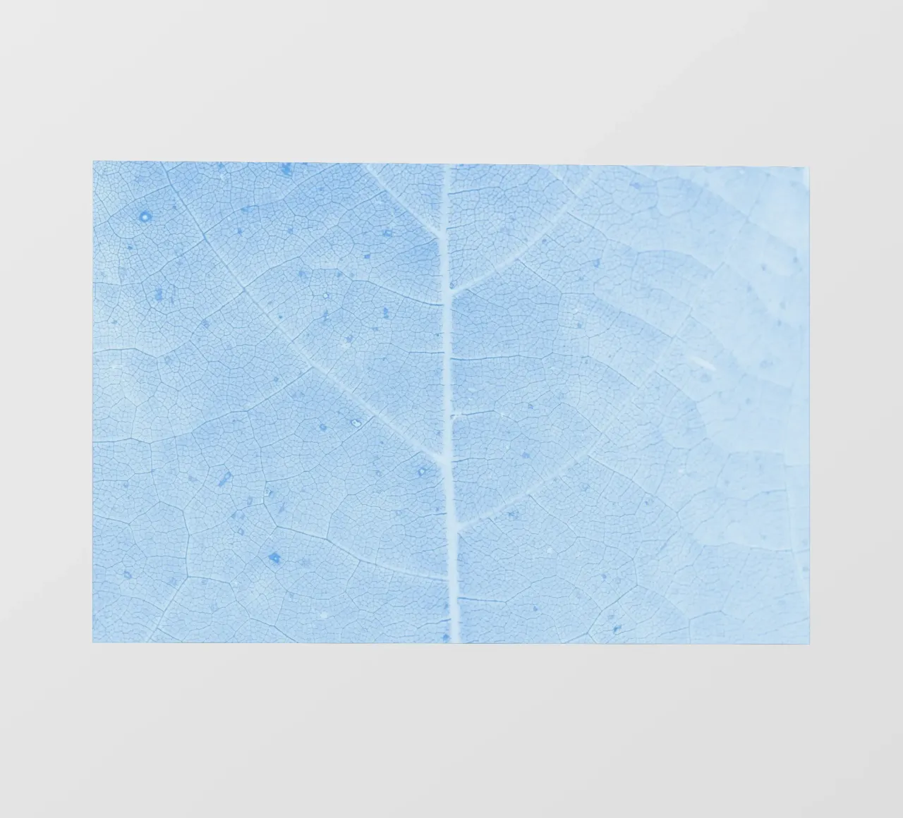 Aqua Leaf Veins Macro - Serene Nature Abstract Print PVC Plane von NorwesClub