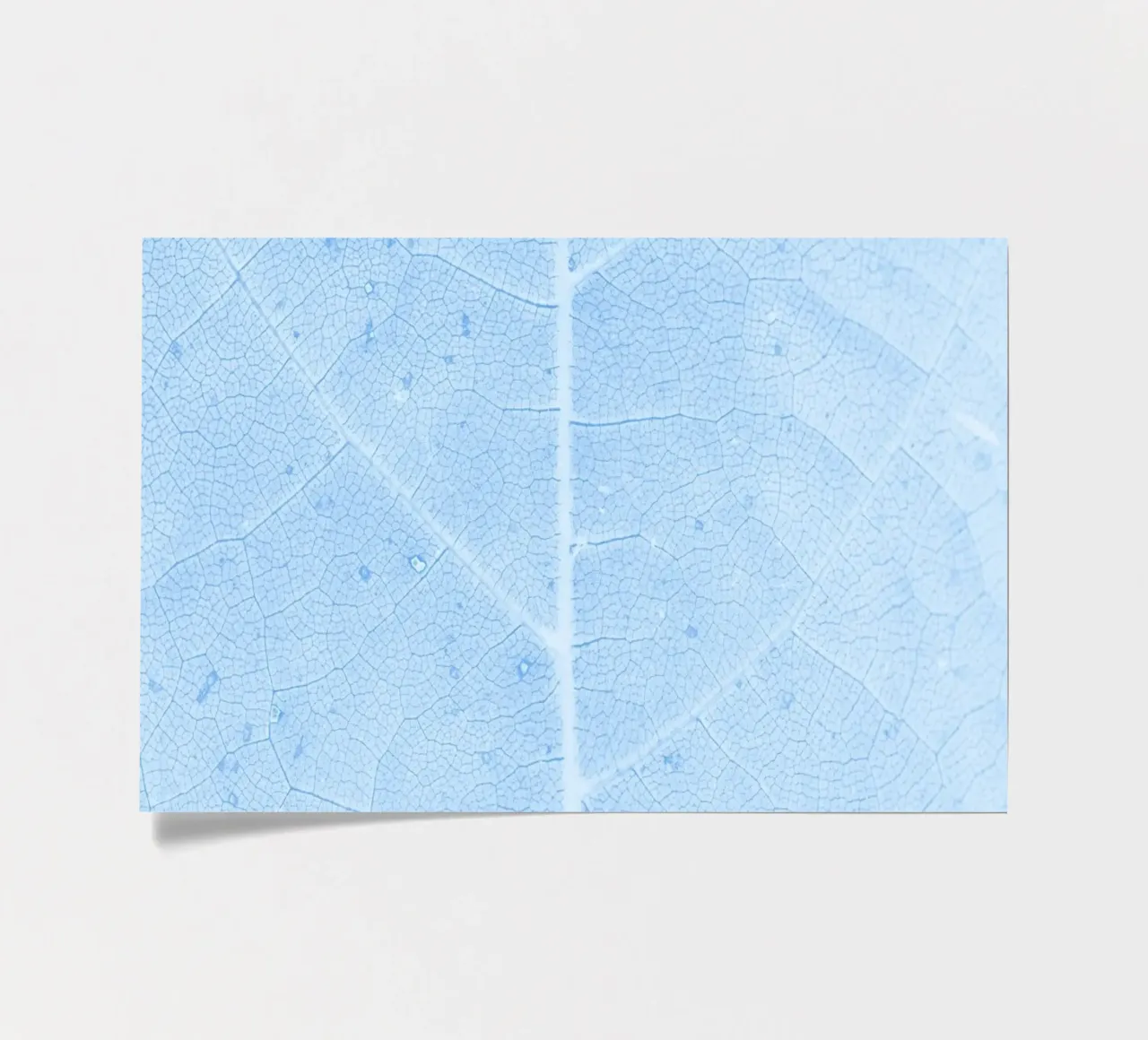 Aqua Leaf Veins Macro - Serene Nature Abstract Print Stickerbogen von NorwesClub