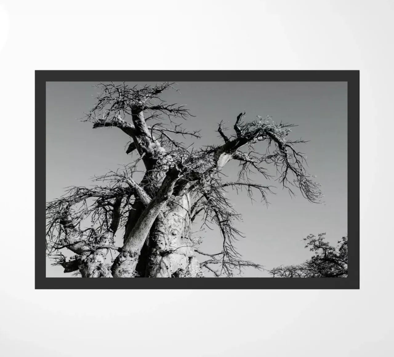 Kubu doormat by Shot By Clint