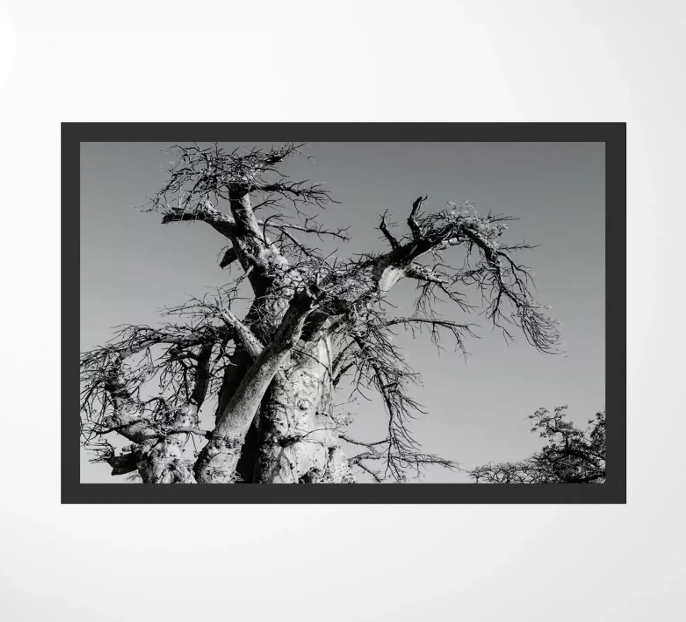 Kubu deurmat van Shot By Clint