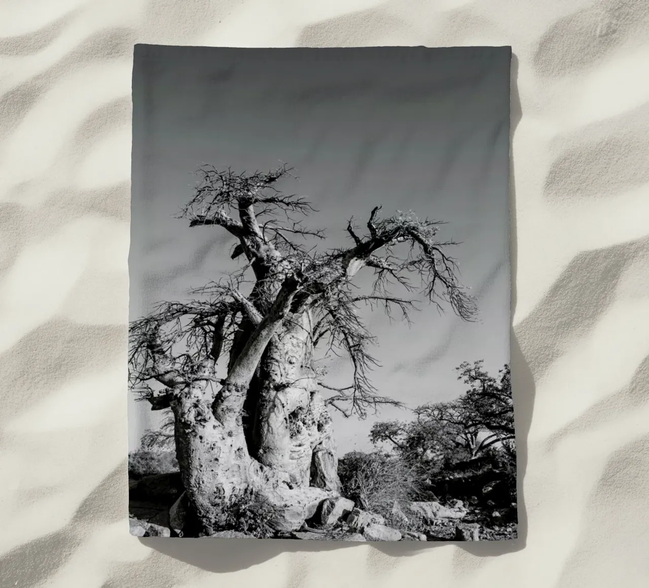 Kubu telo mare da Shot By Clint