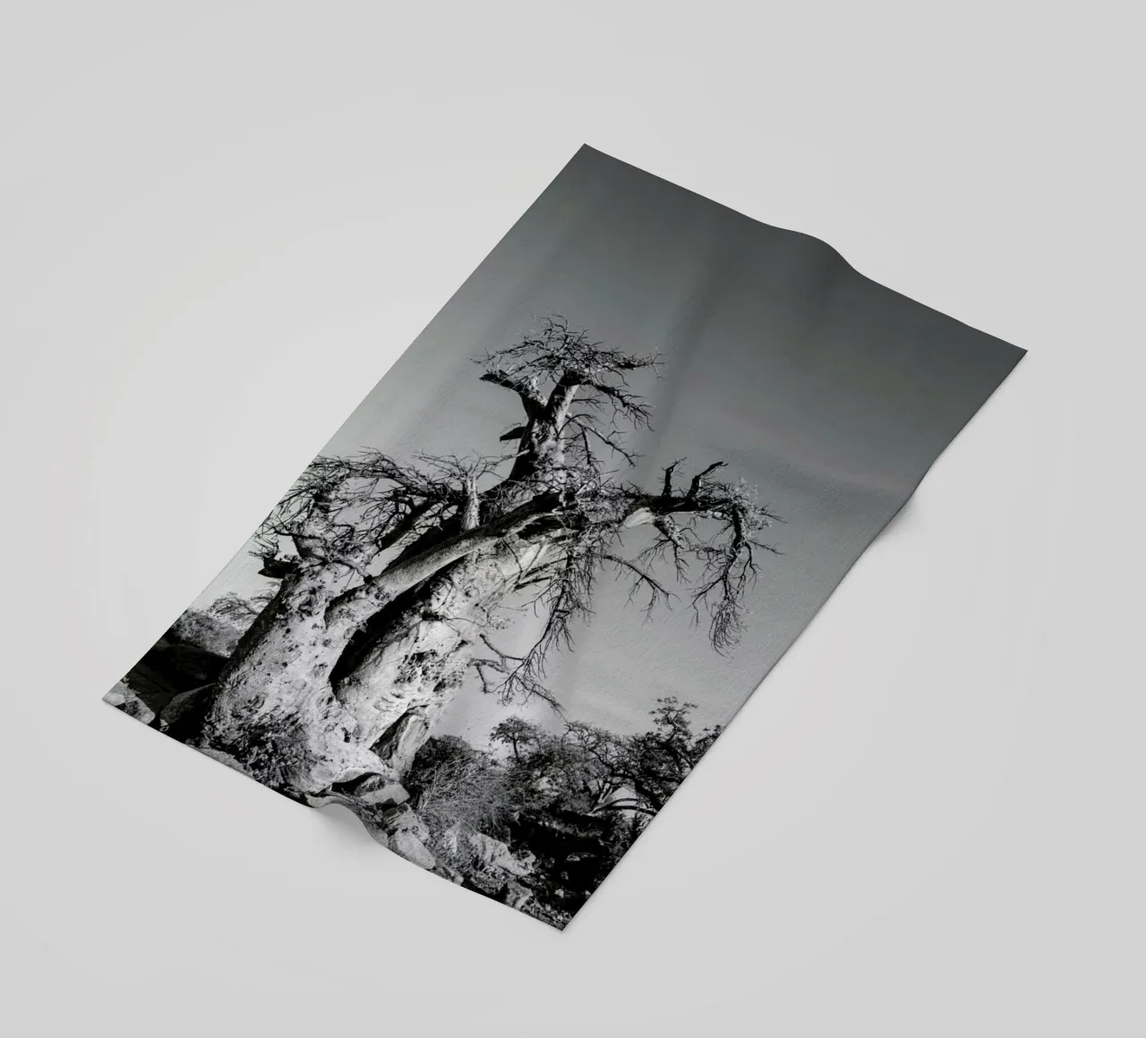 Kubu telo mare da Shot By Clint