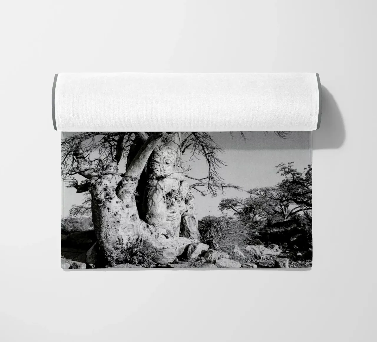 Kubu telo mare da Shot By Clint