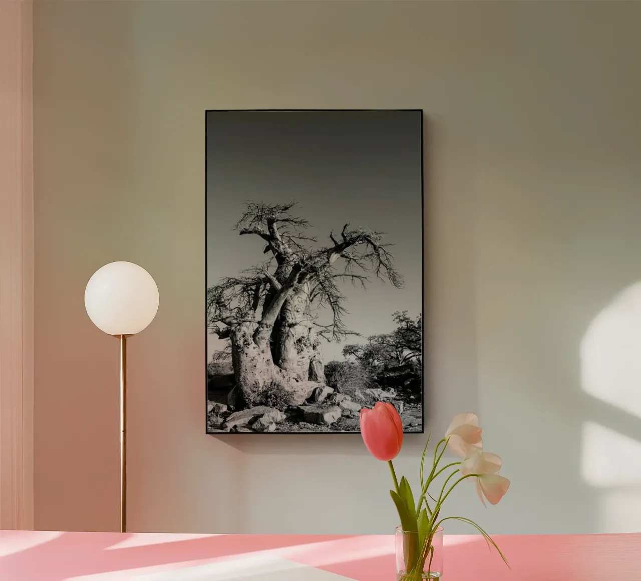 Kubu plexiglass da Shot By Clint