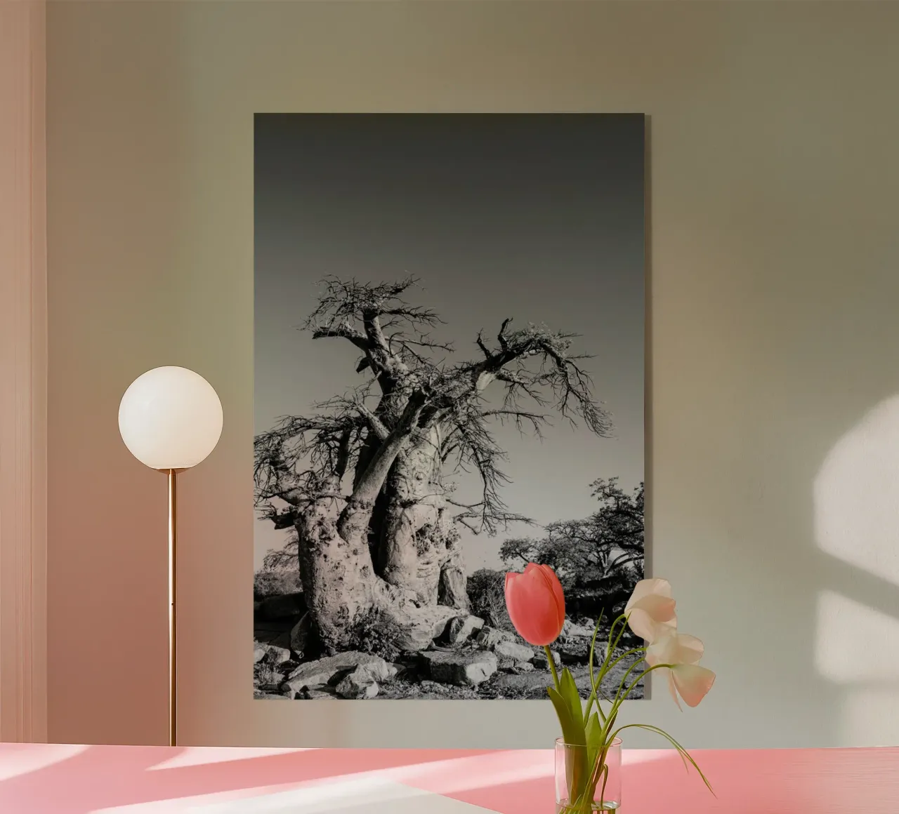 Kubu plexiglass da Shot By Clint