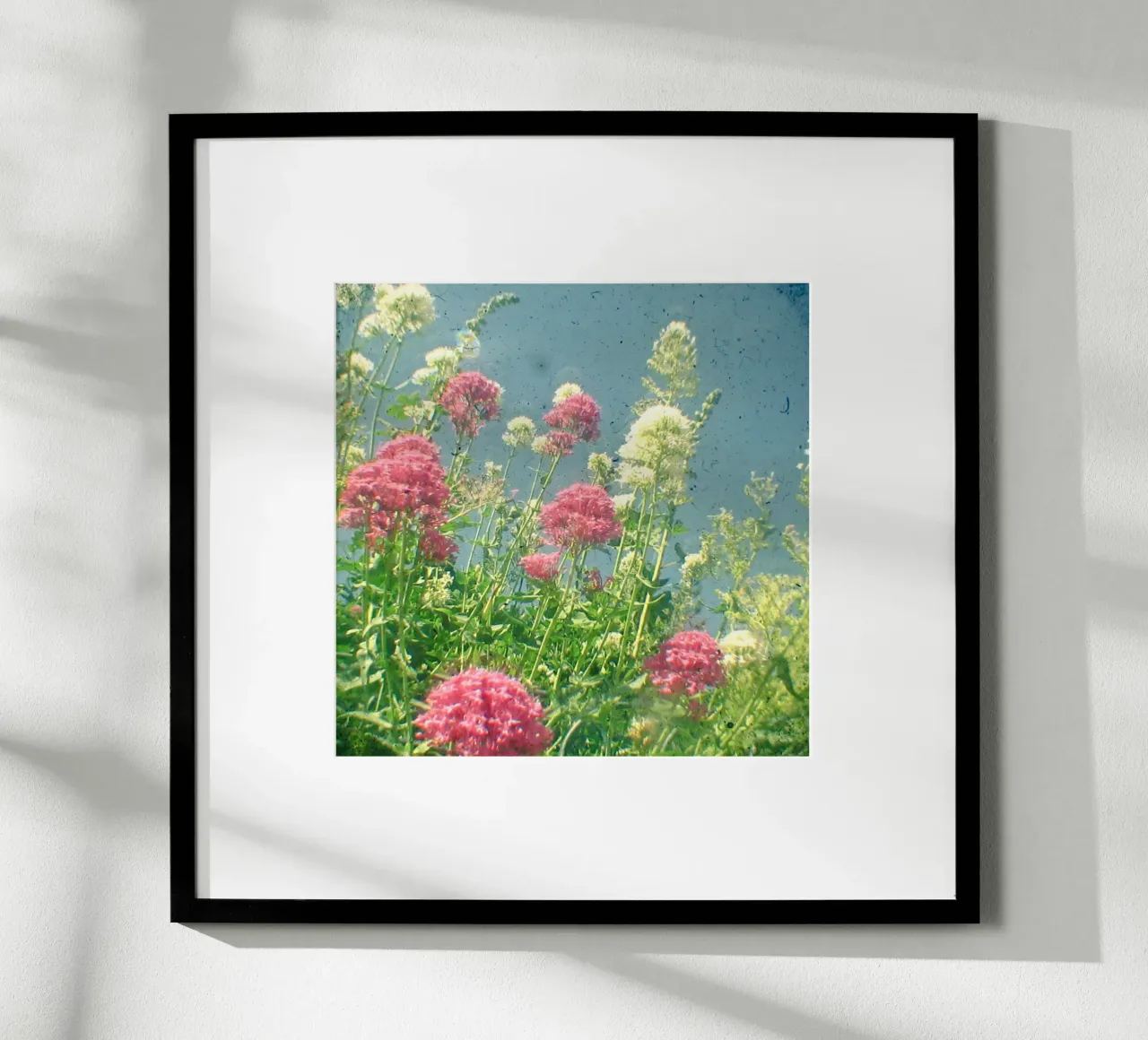 Lamponi e panna poster da Cassia Beck Photography