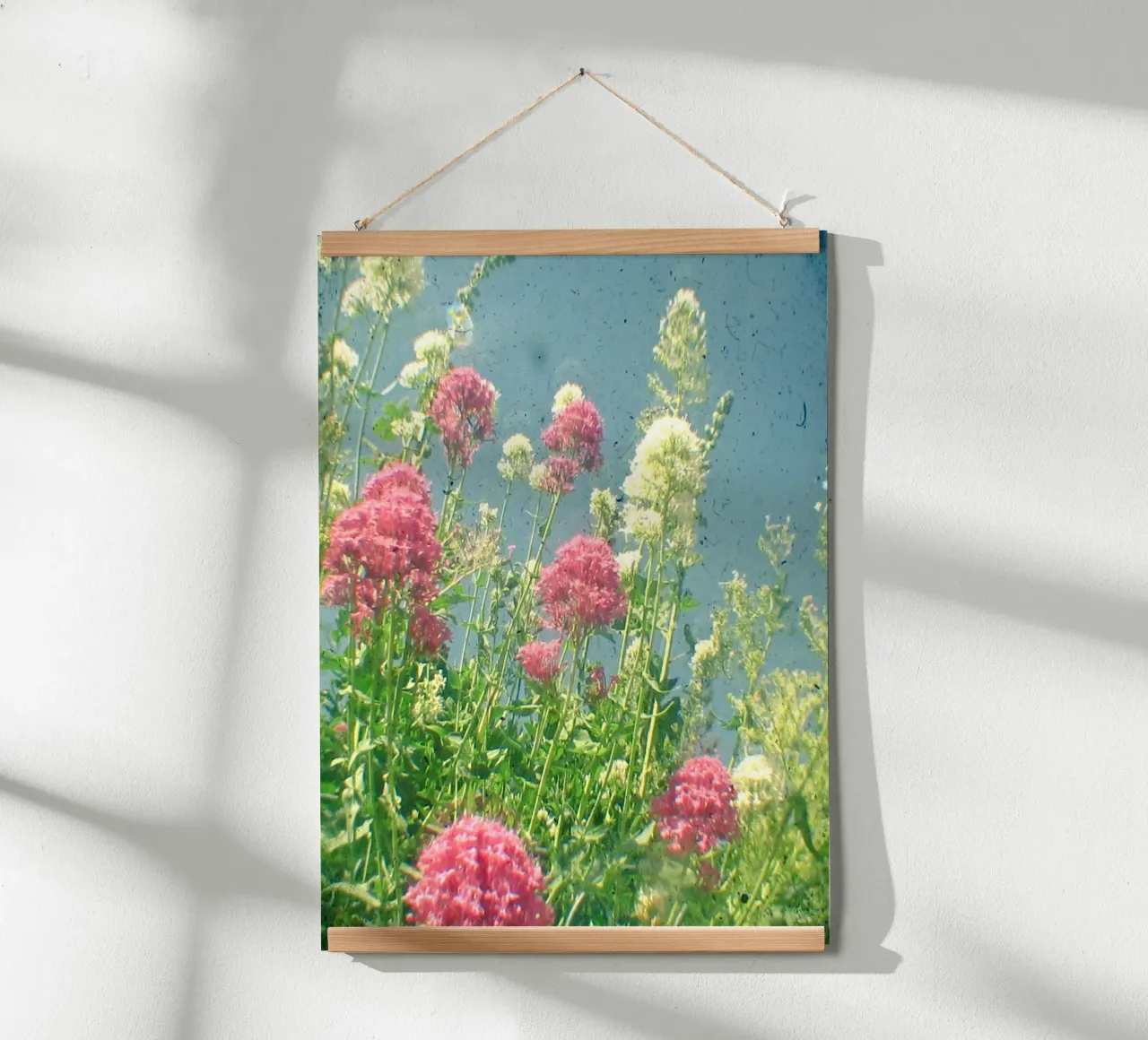 Lamponi e panna poster da Cassia Beck Photography