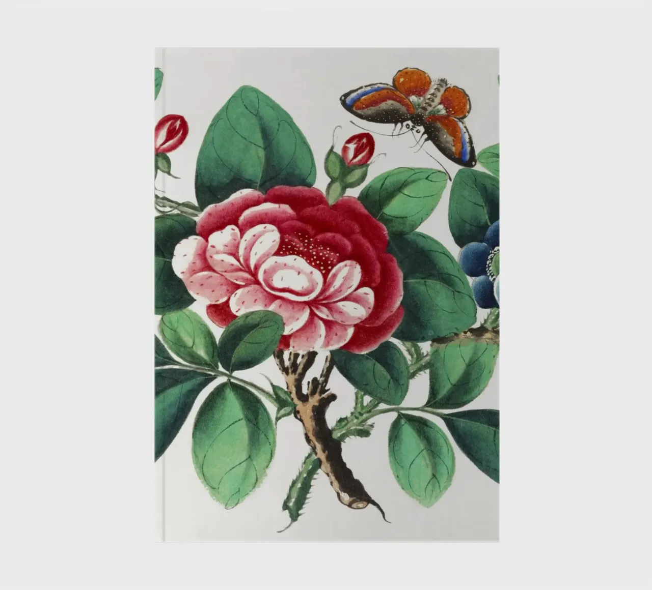 Peinture chinoise du XIXe siècle représentant des fleurs et un papillon carnet de notes de Venus Art