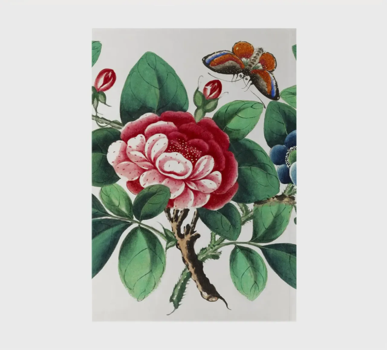 Peinture chinoise du XIXe siècle représentant des fleurs et un papillon carnet de notes de Venus Art