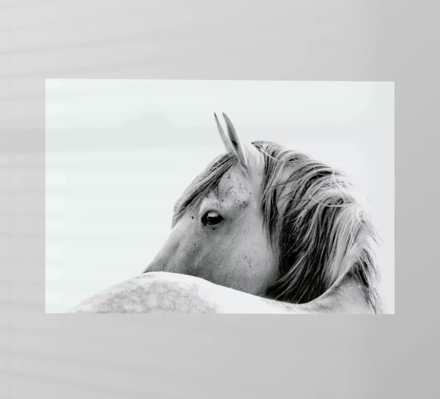 Serenity pellicola backlit da Lila & Lola