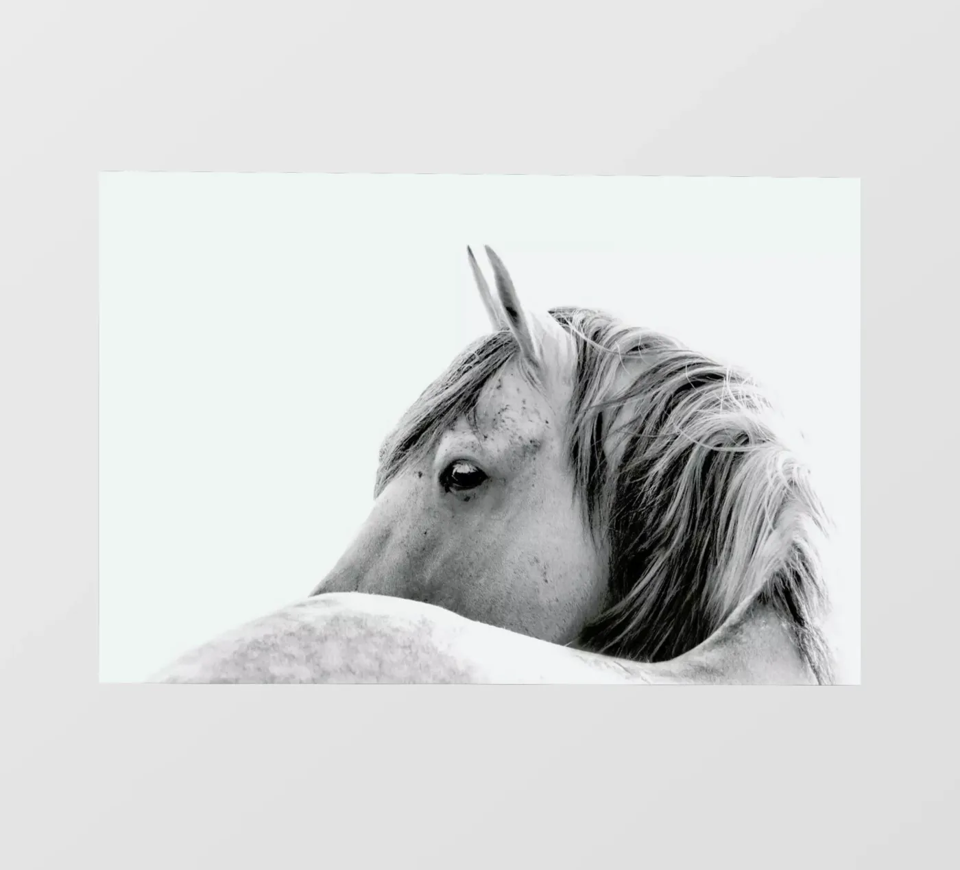 Serenity pellicola backlit da Lila & Lola