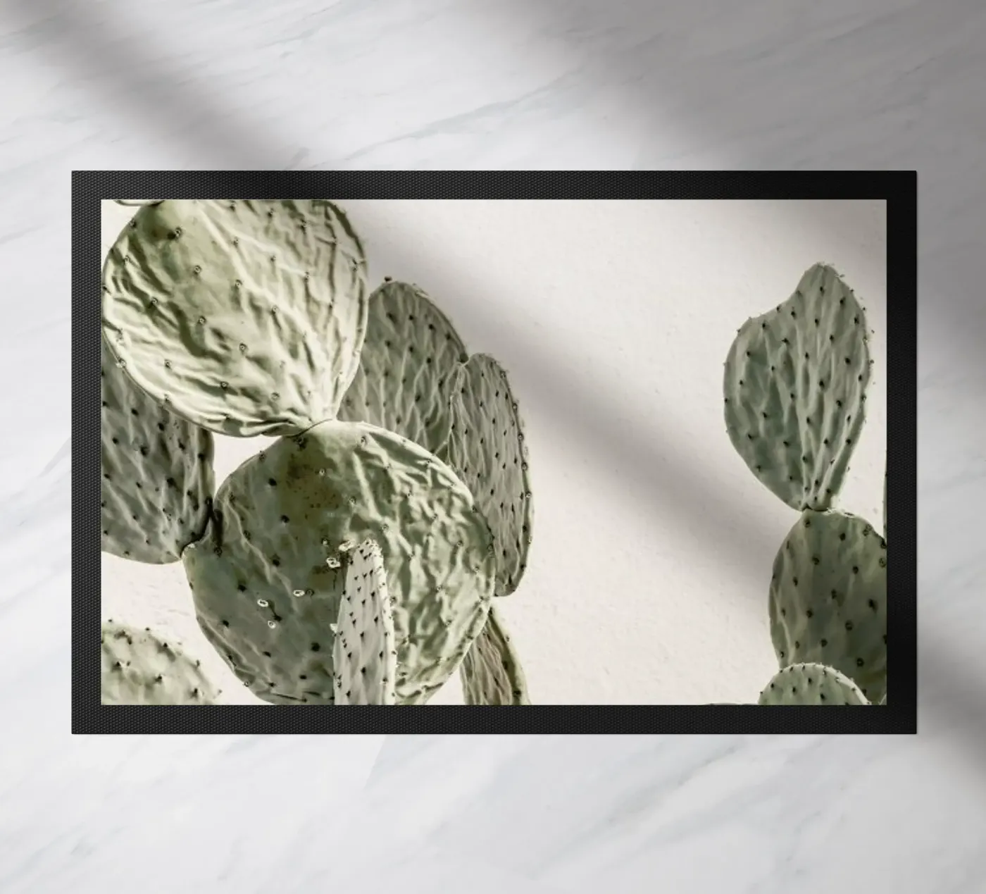 Mexi Catus zerbino da Shot By Clint