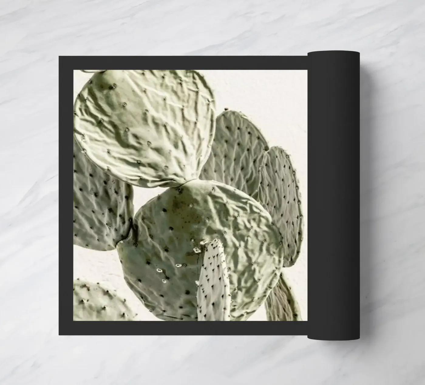 Mexi Catus zerbino da Shot By Clint