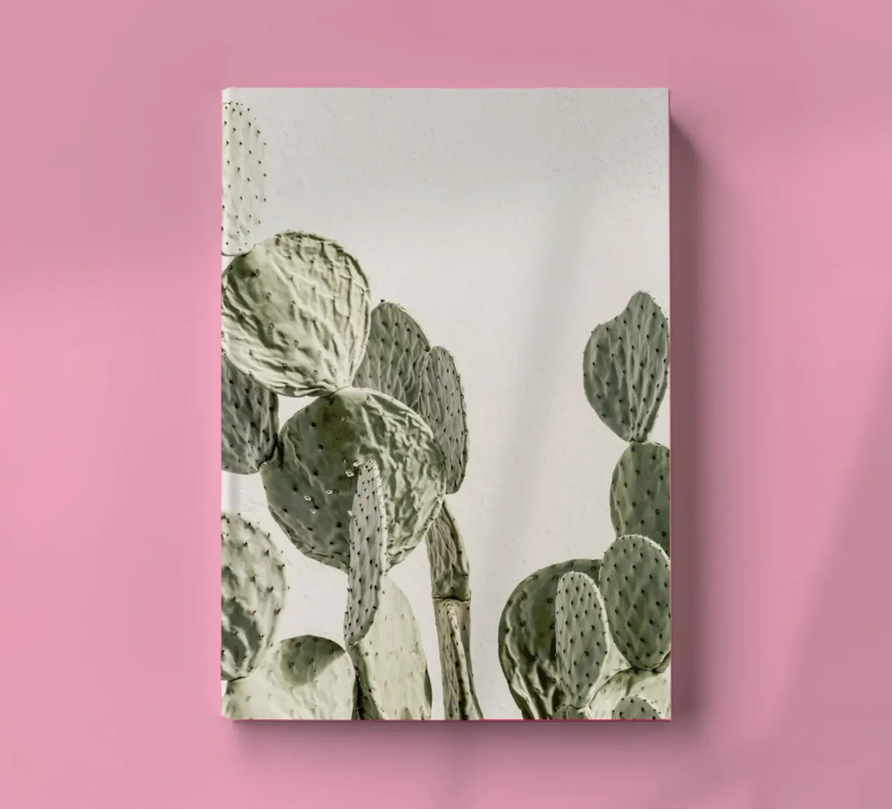 Mexi Catus notebook by Shot By Clint