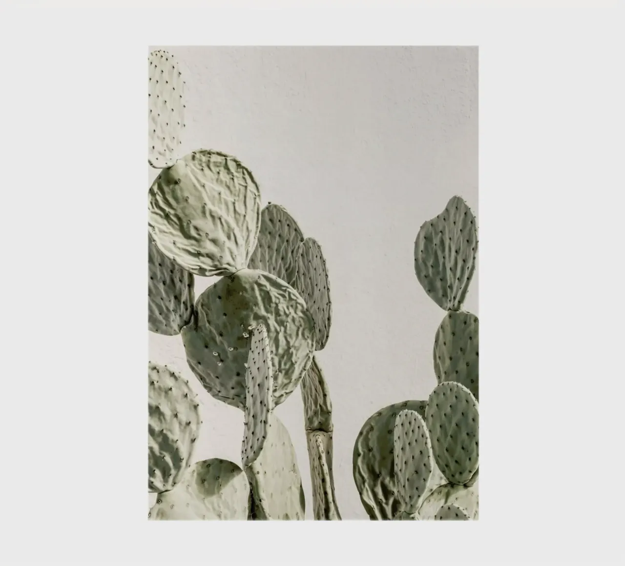Mexi Catus notebook by Shot By Clint