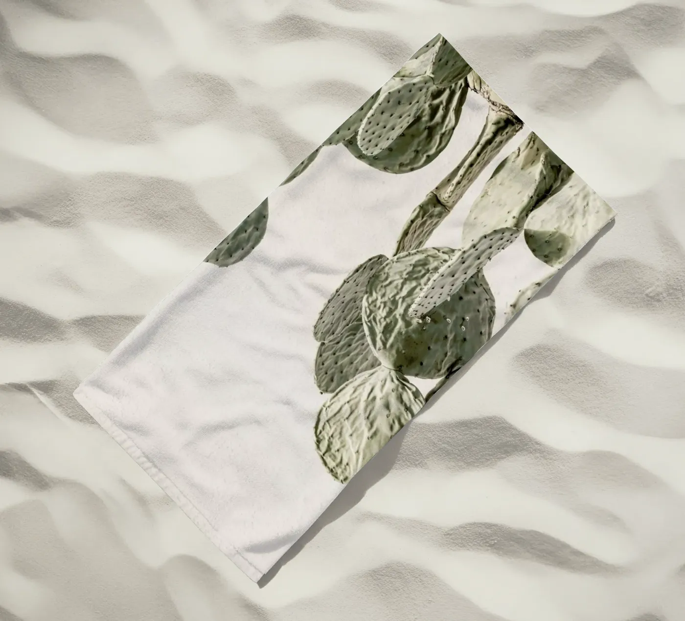 Mexi Catus telo mare da Shot By Clint