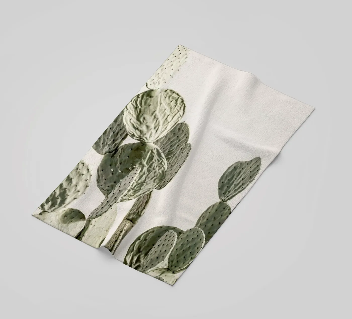 Mexi Catus telo mare da Shot By Clint