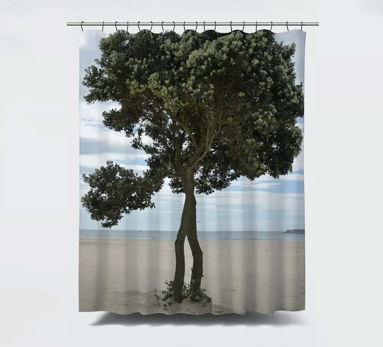 Lonely Tree at the Beach in Matosinhos shower curtain by byrieneke
