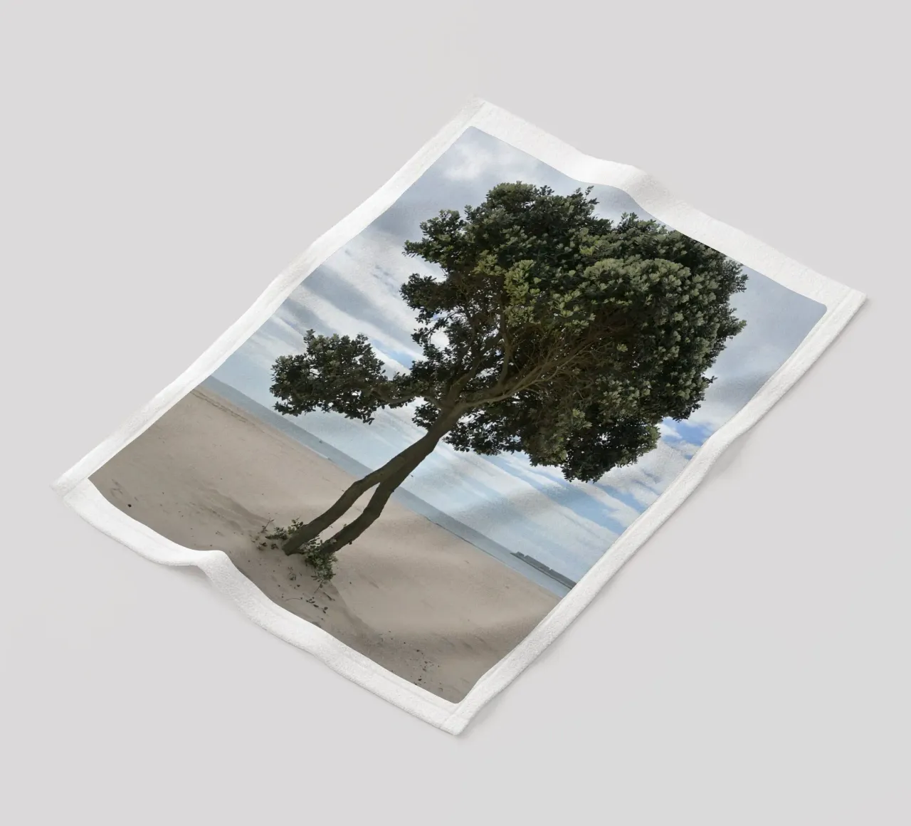 Albero solitario sulla spiaggia di Matosinhos coperta in pile da byrieneke