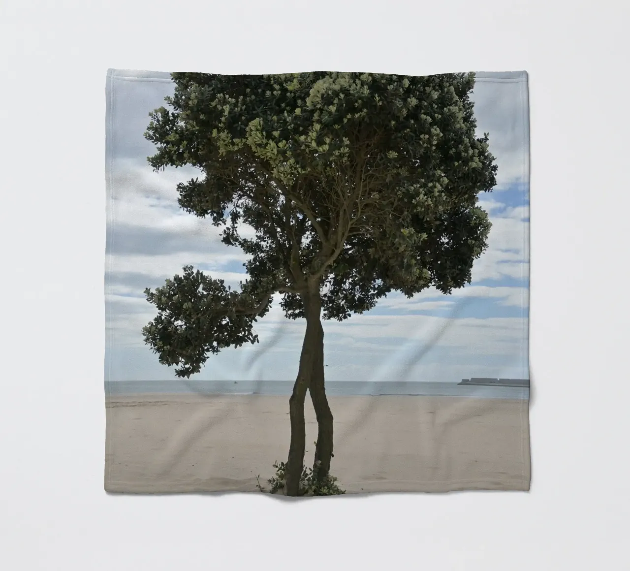 Albero solitario sulla spiaggia di Matosinhos coperta in pile da byrieneke