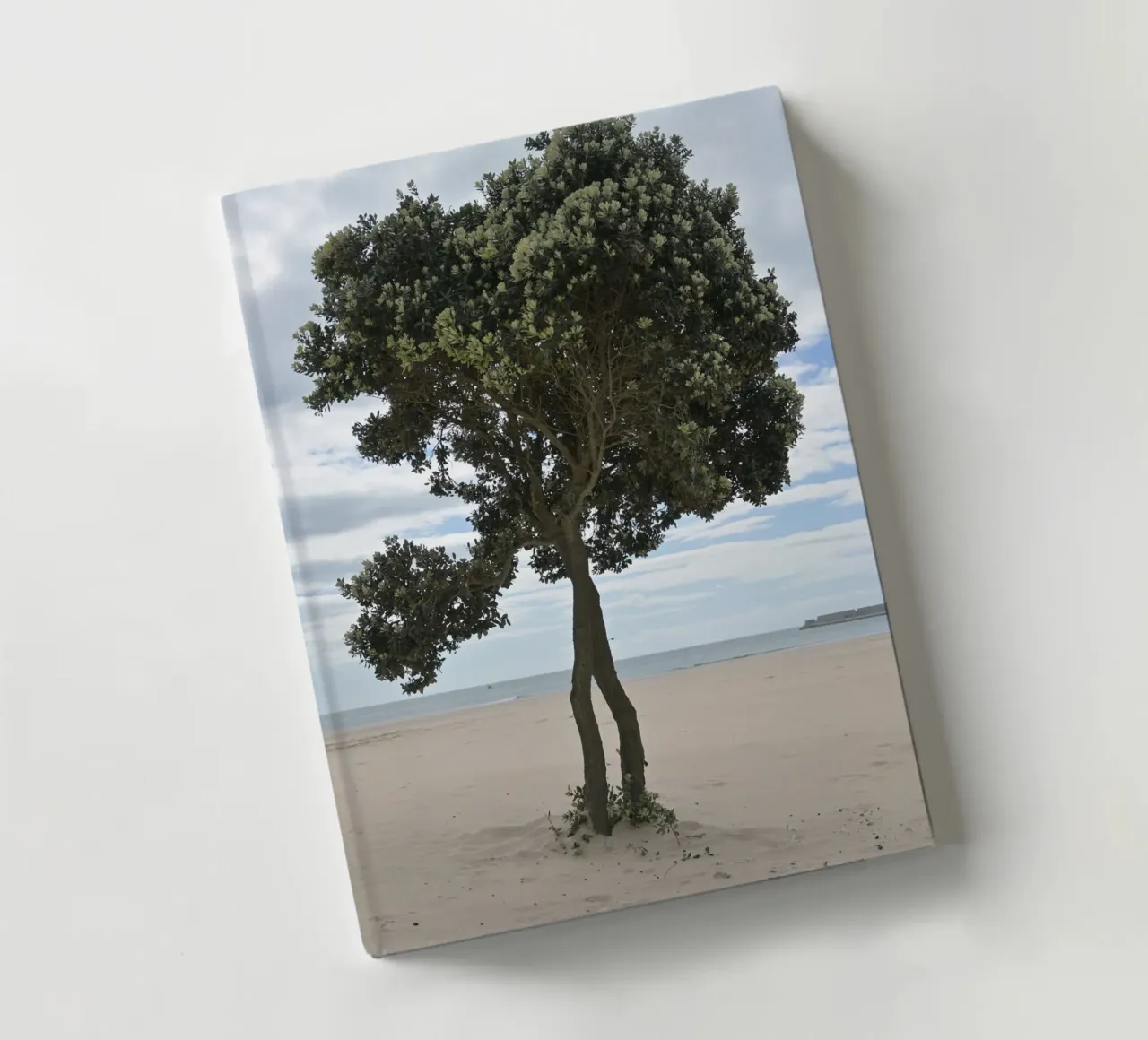 Lonely Tree at the Beach in Matosinhos notebook by byrieneke