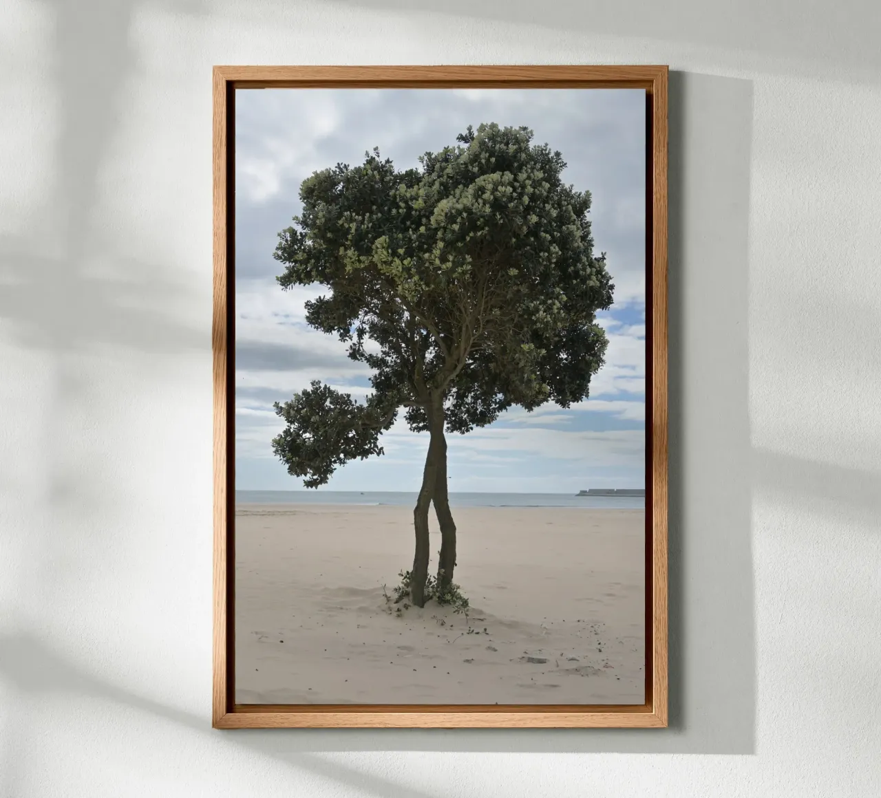 Lonely Tree at the Beach in Matosinhos canvas by byrieneke